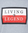 Living Legend Men Grey Melange Slim Fit Round Neck T - Shirt