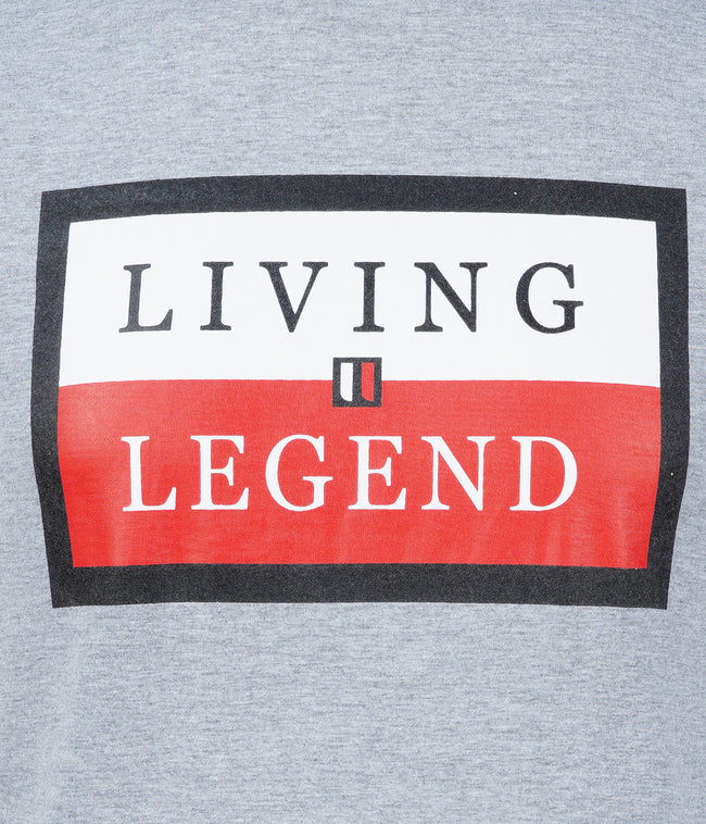 Living Legend Men Grey Melange Slim Fit Round Neck T - Shirt